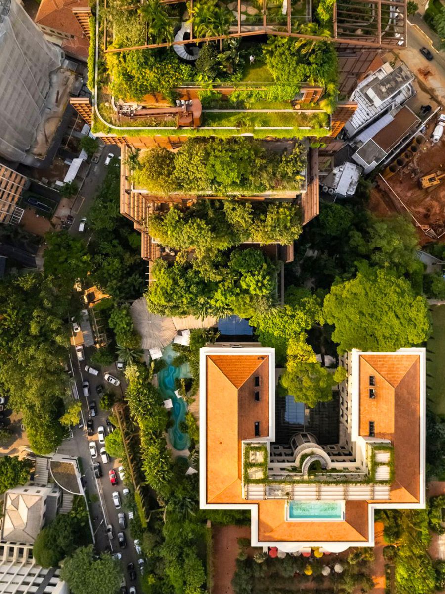 An upper view of the greenery at Torre Mata Atlantica