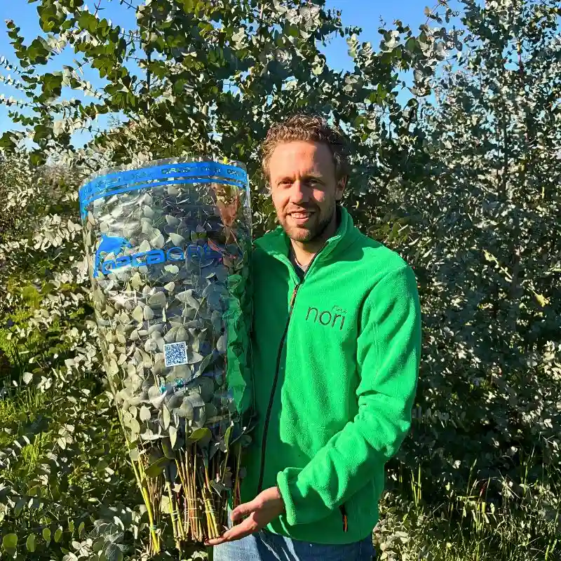 Italy’s Nori Fiori Delivers Fresh Eucalyptus Cinerea and Eucalyptus Populus for Adomex’s OrcaGreen Label