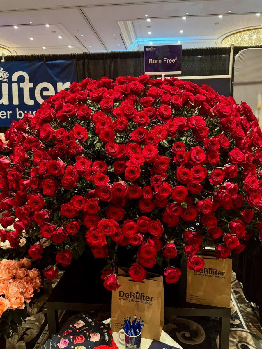 Booth Design Born Free Roses De Ruiter WFFSA FDC