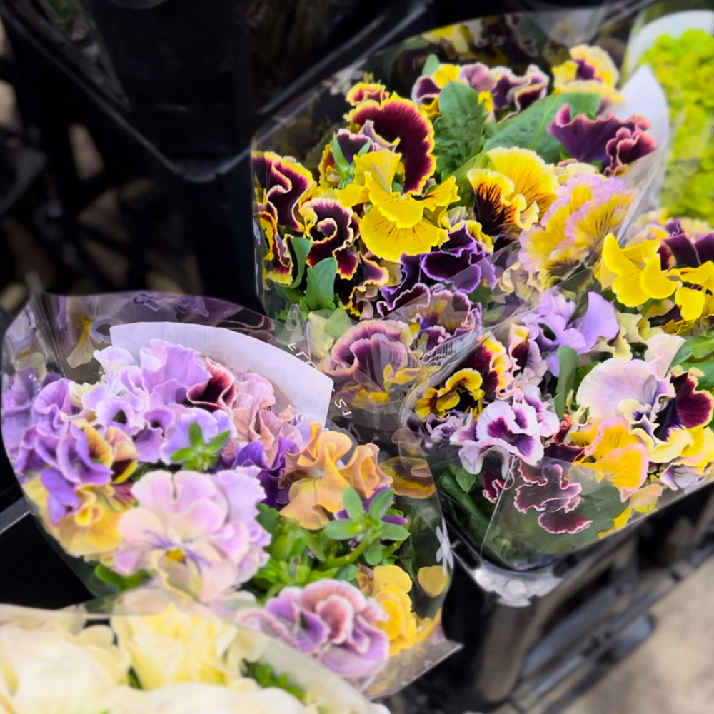 Amazing sweet peas at Tokyo Flower Market