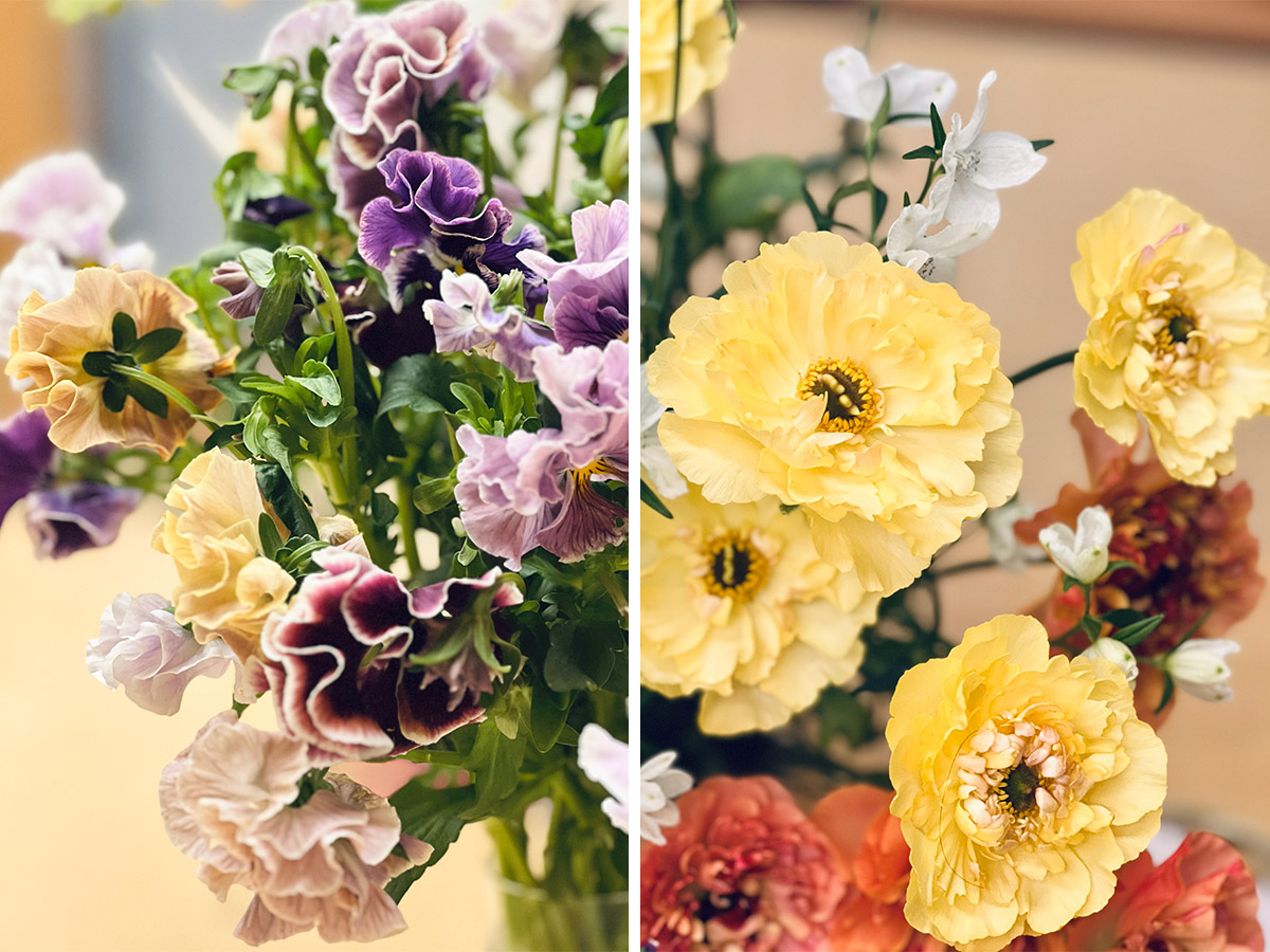 Yellow and Purple flowers at Tokyo Flower Market