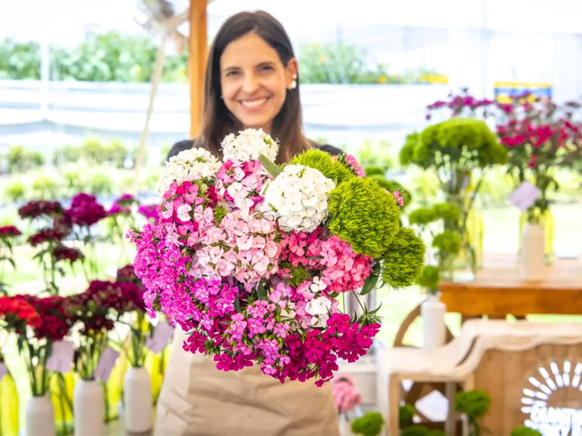 Meeting breeders at Dianthus Week