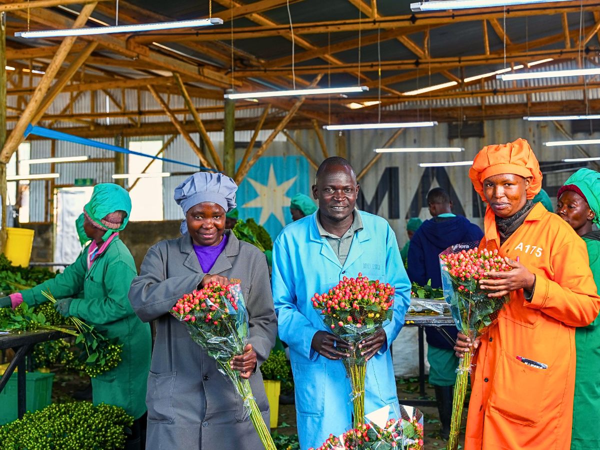 Adomex Works With Kenyan Grower Benev Flora Ltd to Get You the Finest Hypericum Through the OrcaFloral Assortment.