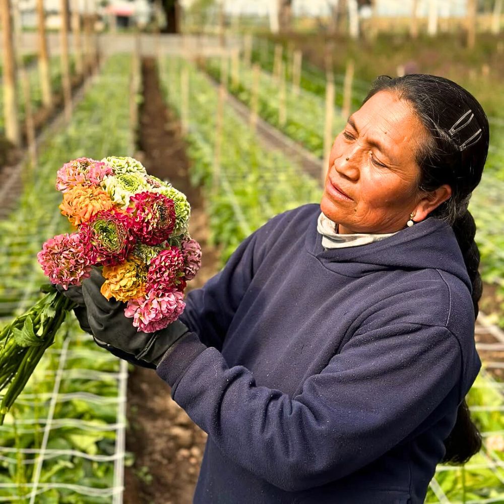 Here’s How Sustainabloom Empowers Sustainability in the Floriculture Industry