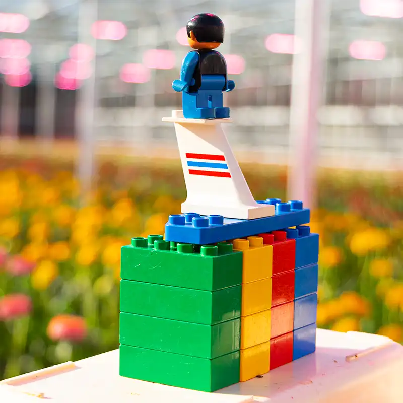 LEGO in greenhouse