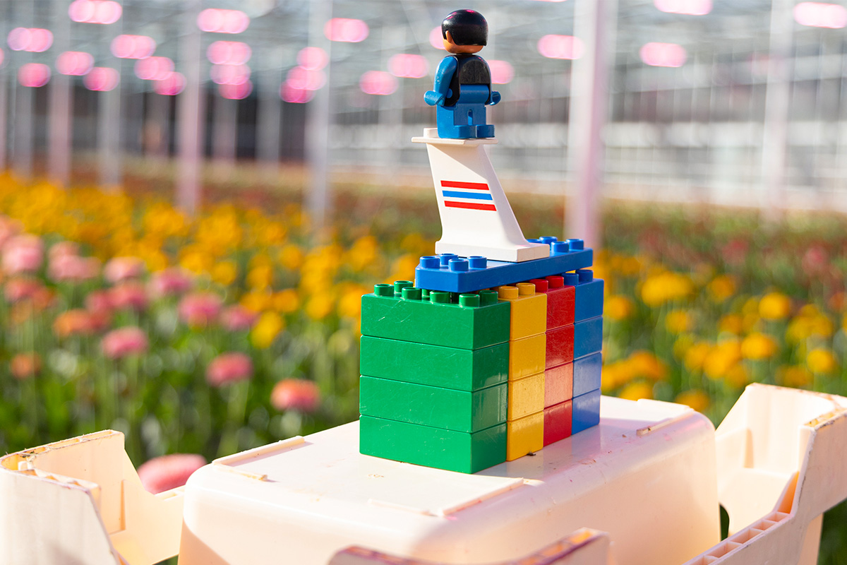 Debo Data Warehouses organized LEGO Bricks