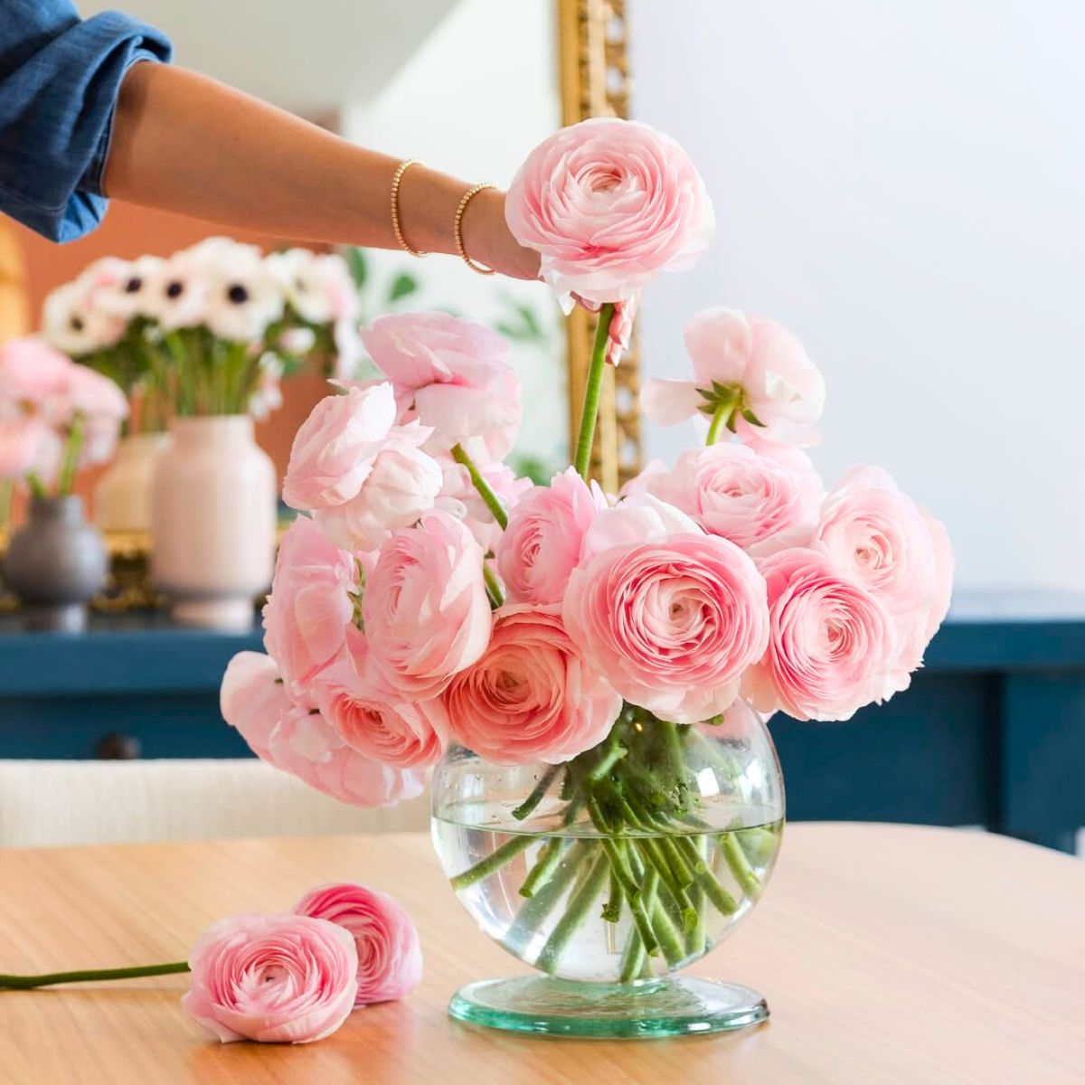 Well hydrated Ranunculus flowers