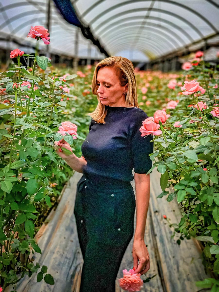 Raquel in a rose farm