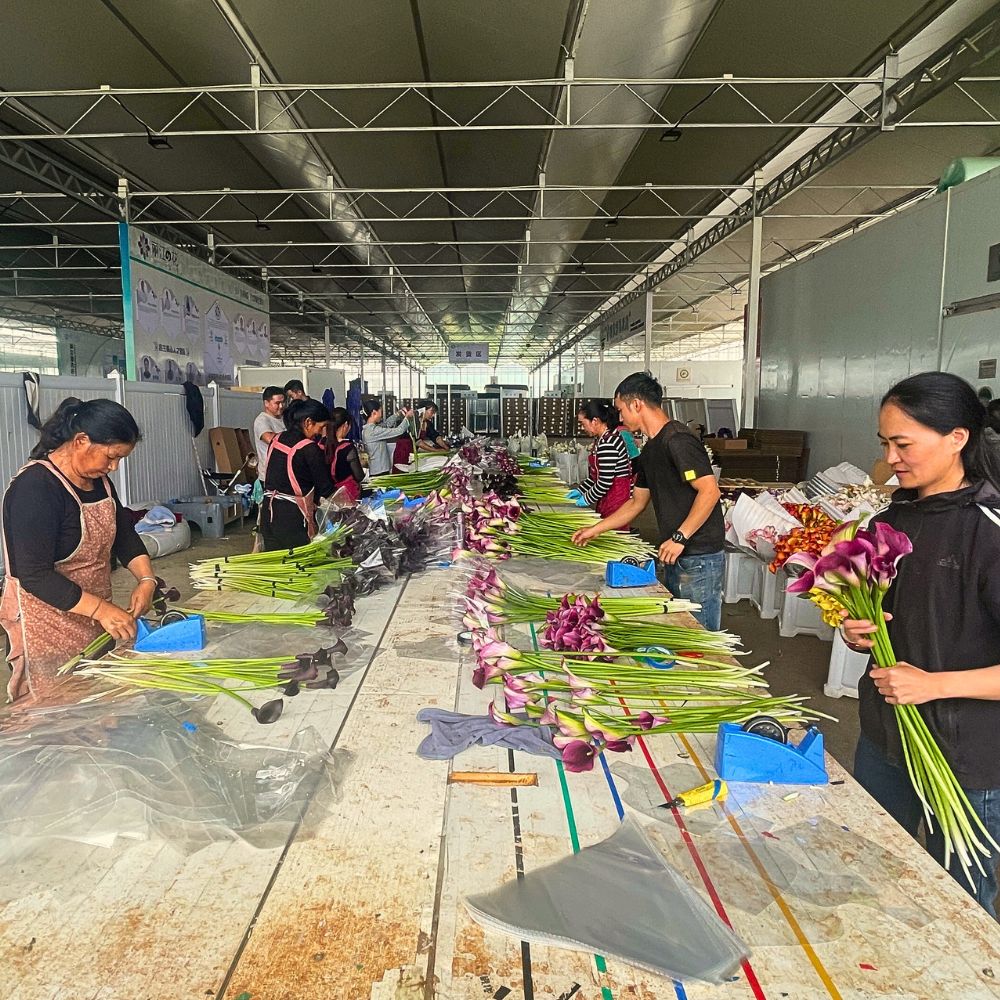 Waste Management and Its Vital Role in Achieving Floriculture Sustainability