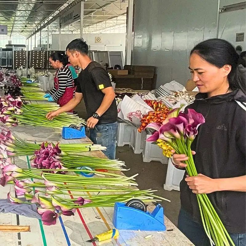 The Crucial Role of Proper Waste Management in Floriculture Sustainability