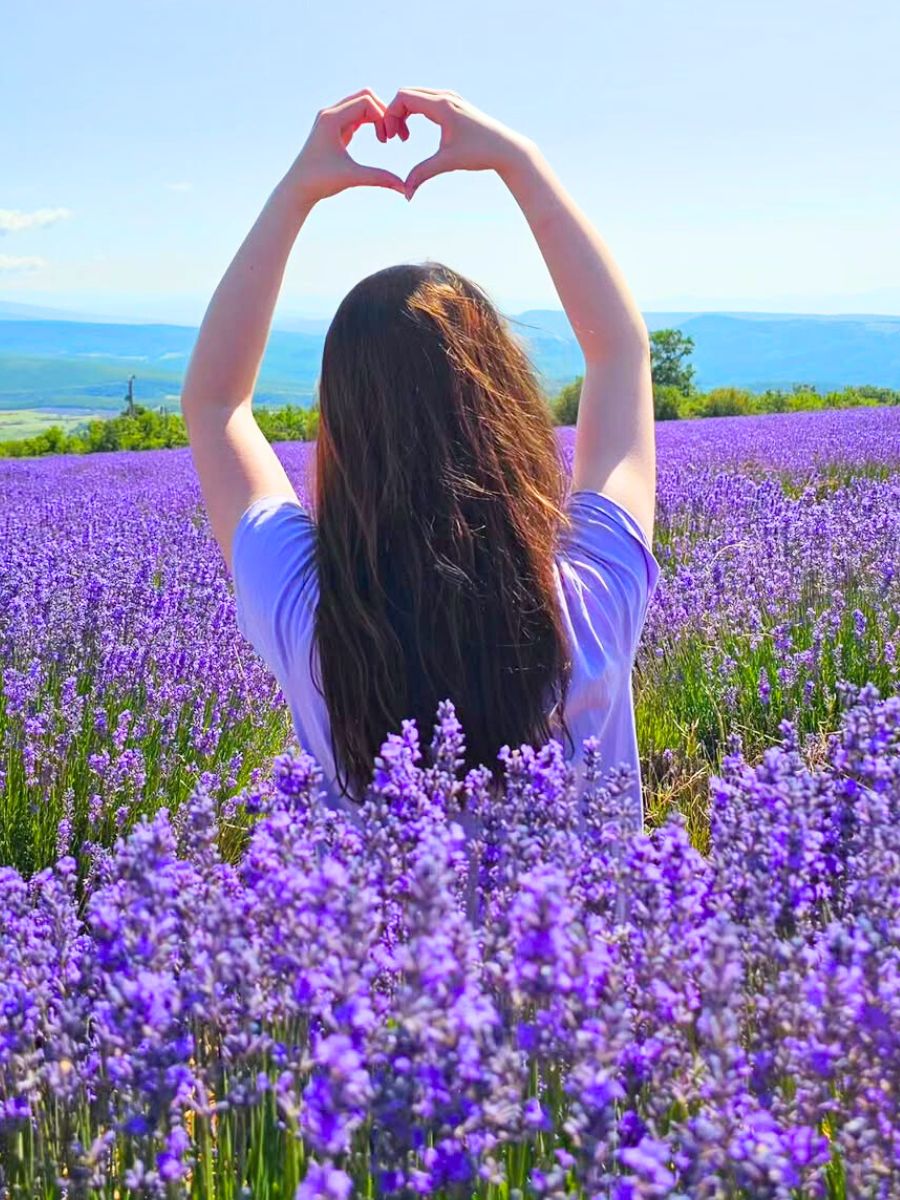 Lavender field love