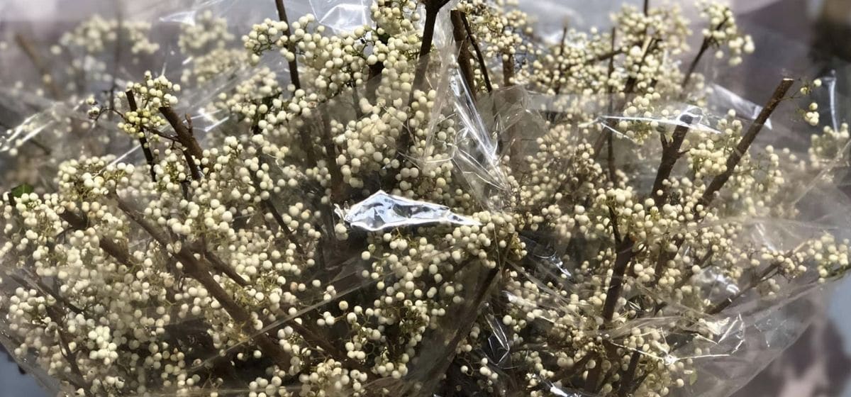 Callicarpa Snowqueen - Cut Flowers - on Thursd for Peter's weekly Menu