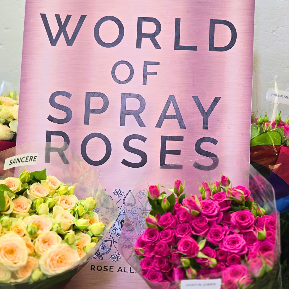 World of Spray Roses