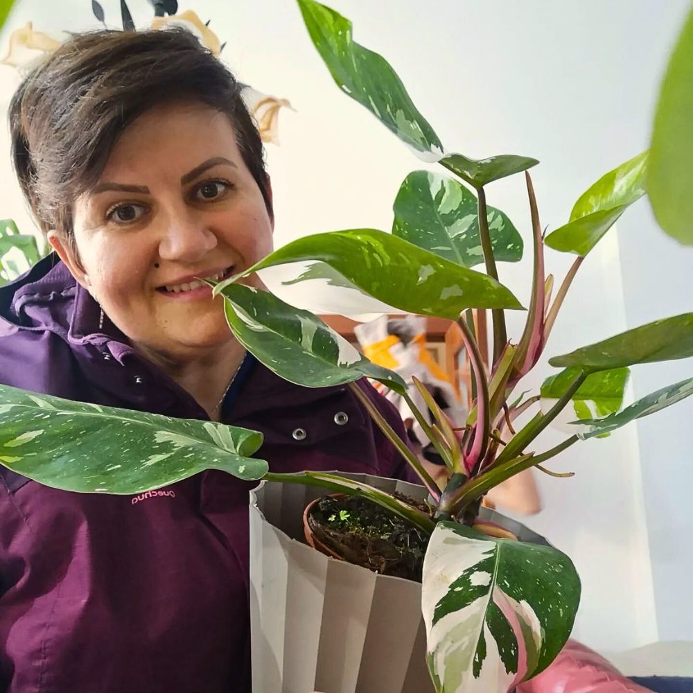 a woman posing with a well-grown White Princess Philodendron