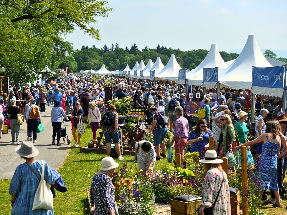 RHS Malvern Spring Festival 2025 Returns to Three Counties Showground Celebrating Plants, Horticulture, Innovation, and Well-Being