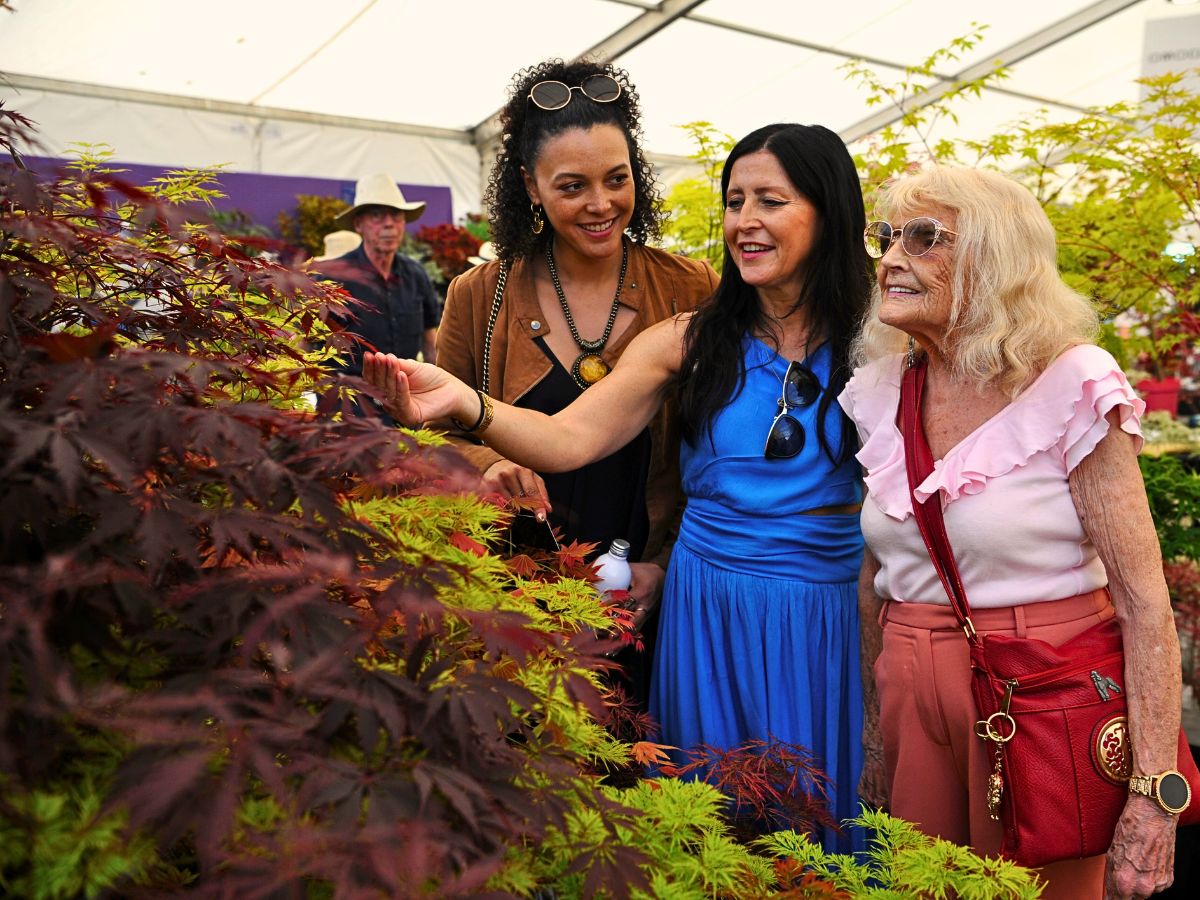 RHS Malvern Spring Festival 2025 Returns to Three Counties Showground Celebrating Plants, Horticulture, Innovation, and Well-Being