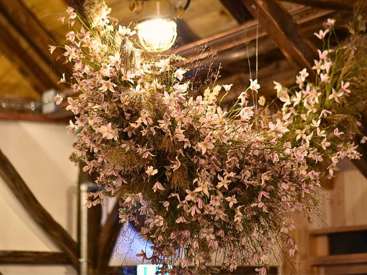 Róbert Bartolen’s Dreamy Floral Cloud Made With Marginpar’s Clematis Amazing® Kansas