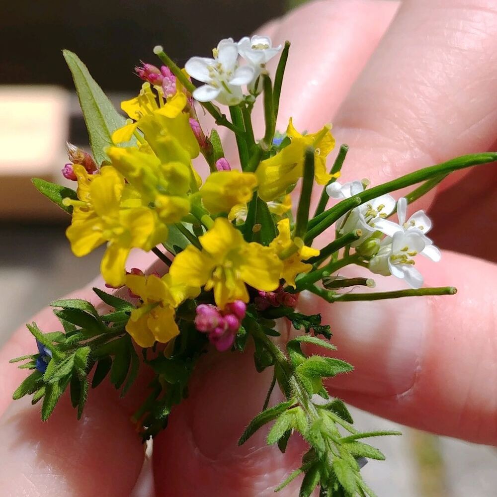 Cutest Small flower bouquet