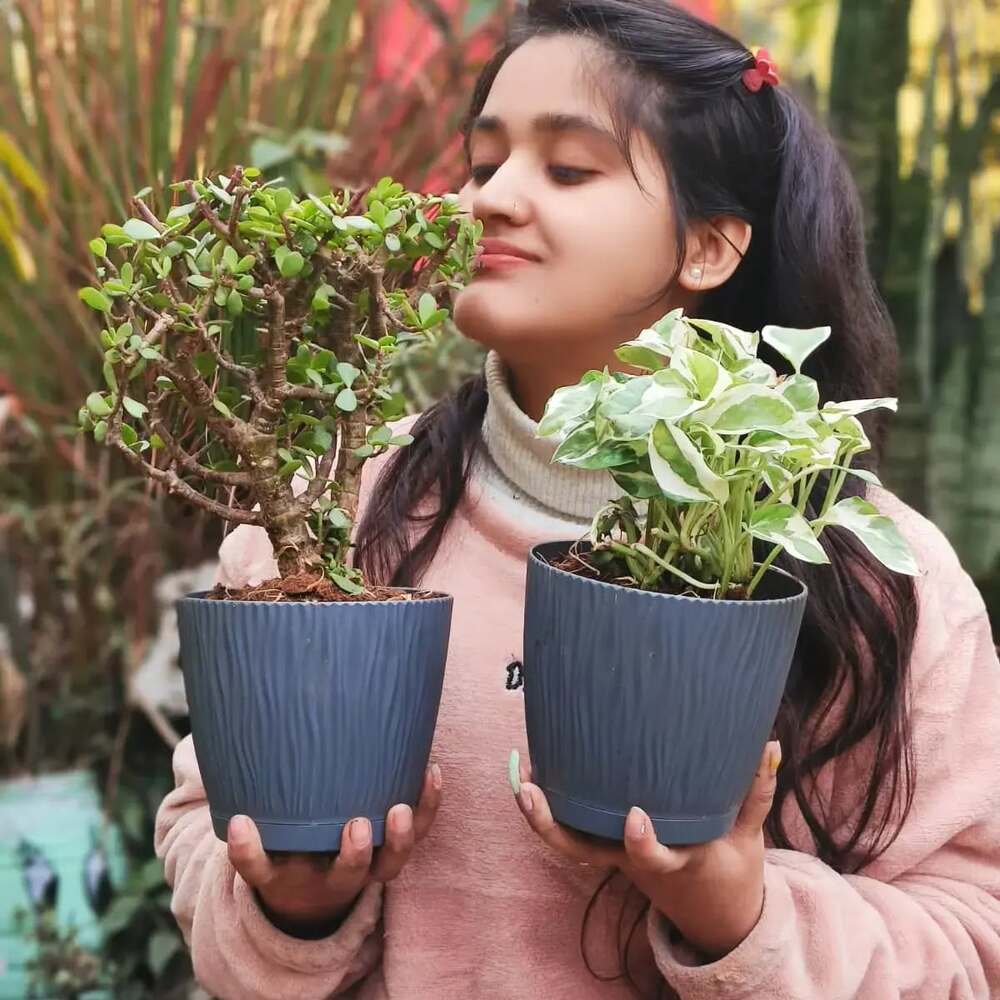 lady with new plants