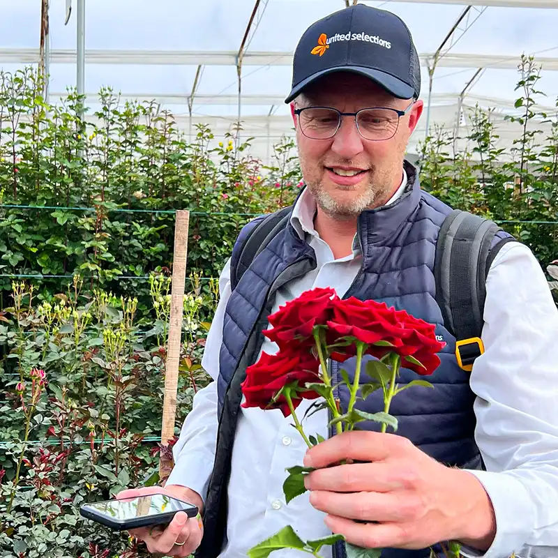 Paul de Bruin with Spray Rose Velvet Blossoms in greenhouse