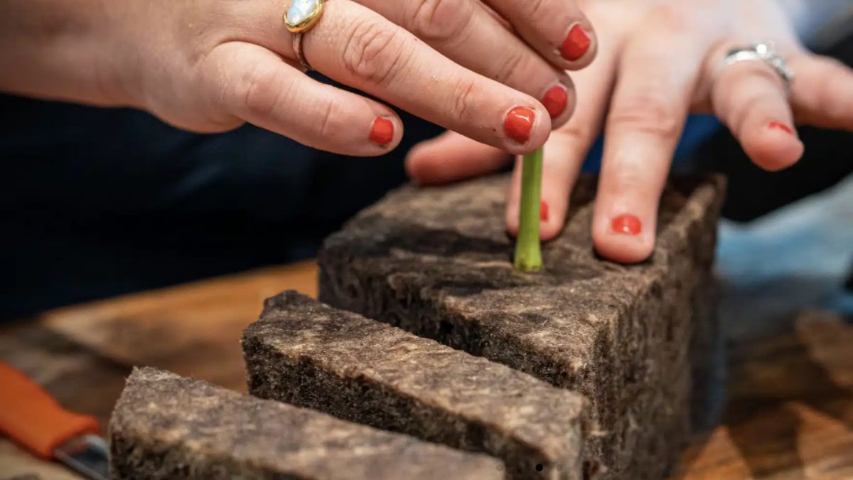 Sideau biodegradable floral foam