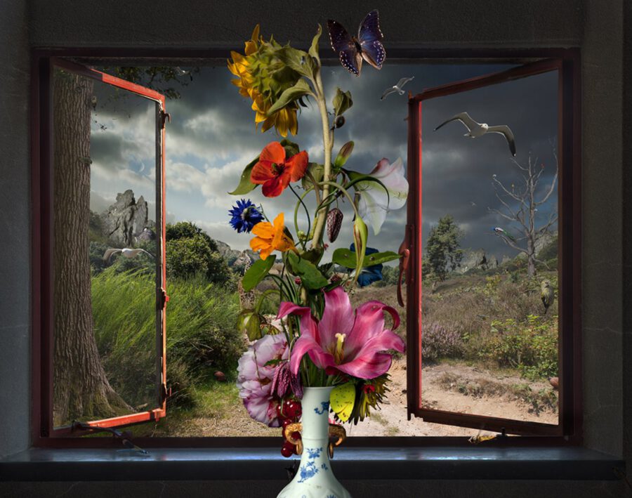 Bas Meeuws Vase In Front Of Window On Thursd