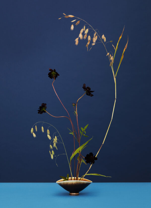Modern ikebana piece black - ikebana for beginners on thursd