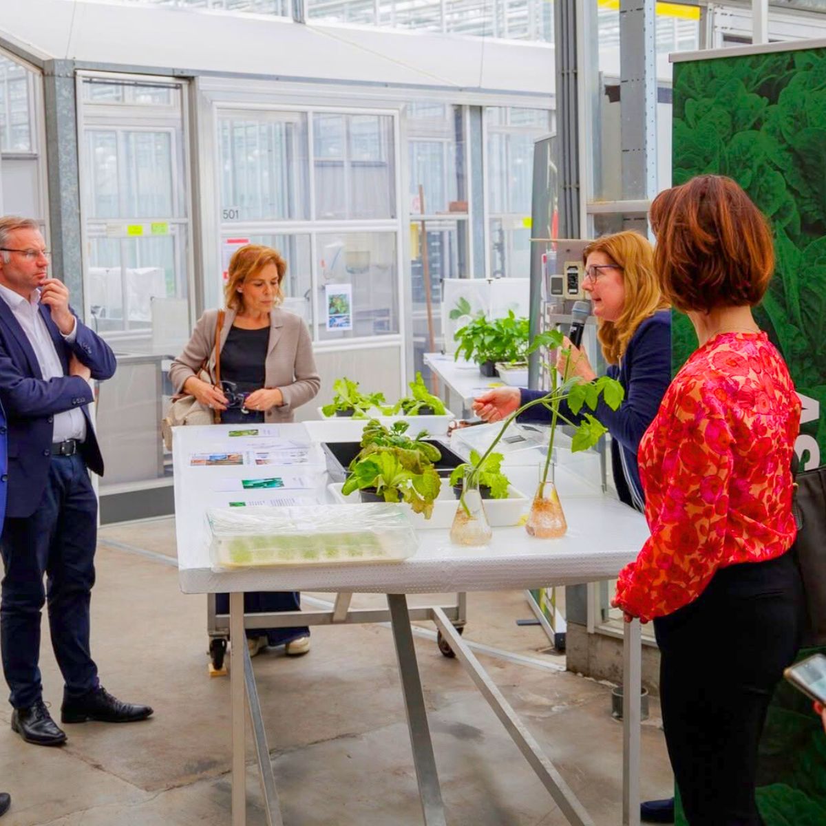Talk about plant health Talk about plant health