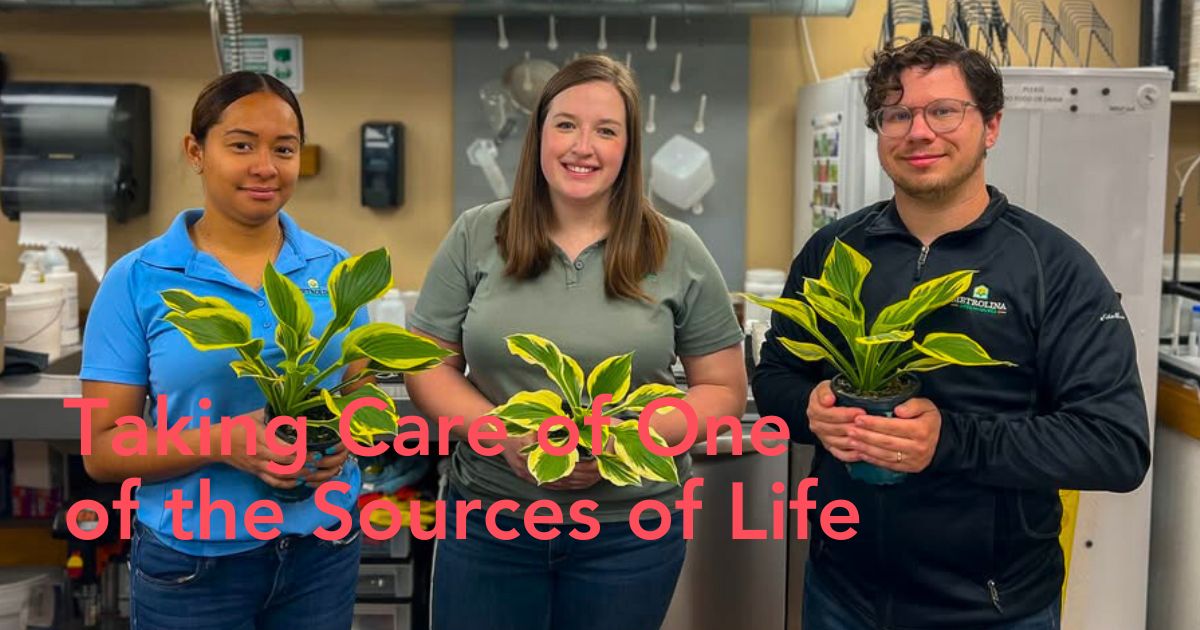 The International Day of Plant Health recognizes the vital importance of plants in supporting life on earth.