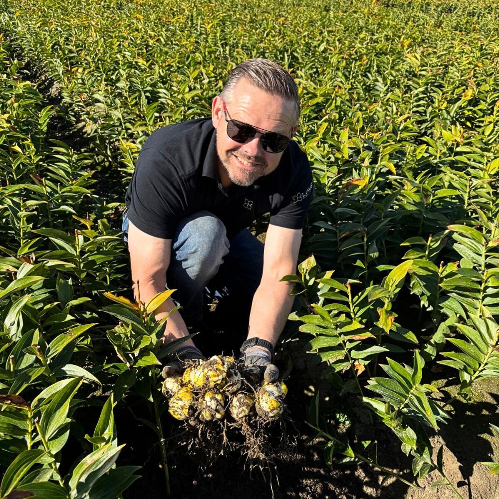 Gert Jan Klaver checking bulbs in New Zealand 10 Questions to Gert Jan