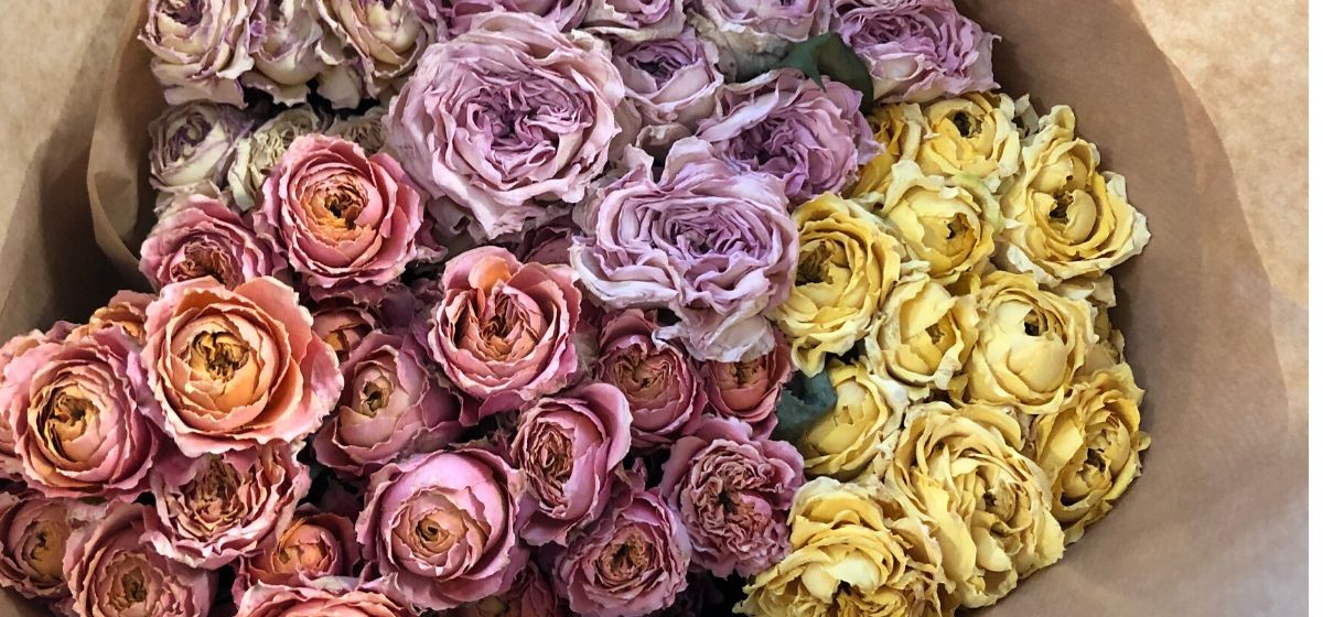 Week 8 Dried Roses Parfum Flower Company Zero Waste - Cut Flowers - on Thursd for Peter's weekly Menu