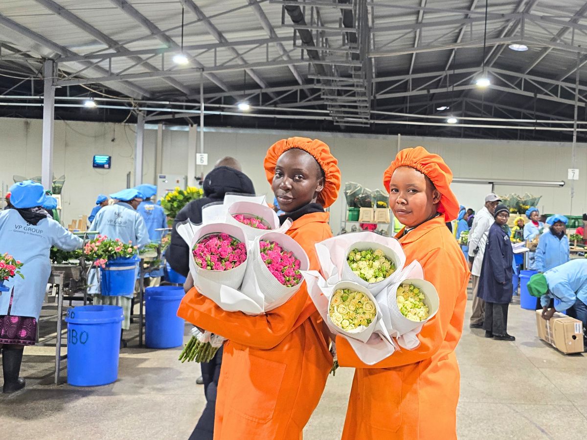 The people behind the beautiful spray roses from Vegpro Group World of Spray Roses