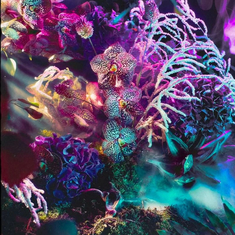 Floral art by Stormy