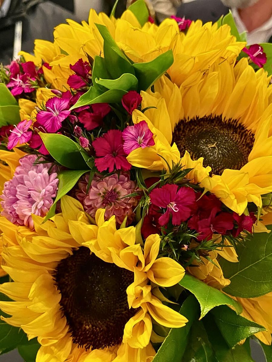 Helianthus Sunrich Orange Helianthus Sunrich Orange Adds a Radiant Elegance to Designs and Spaces