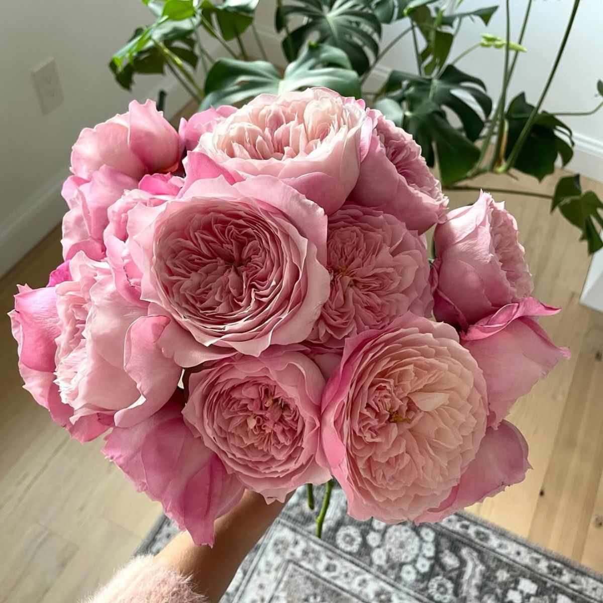 Rose Constance in a bouquet Rose Constance in a bouquet