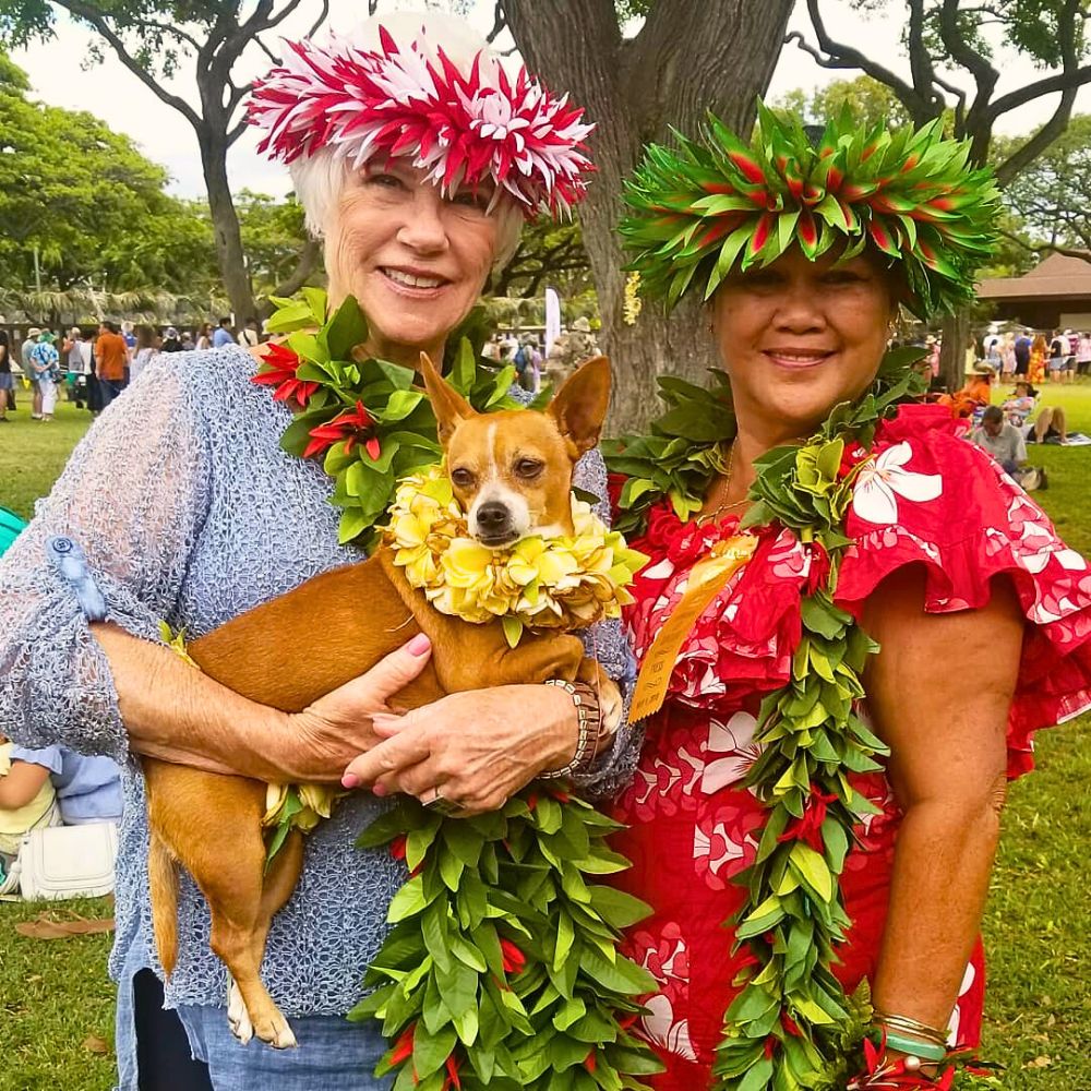 Lei Day Lei Day Is Here, Celebrate the Spirit of Aloha With Hawaiian Flowers