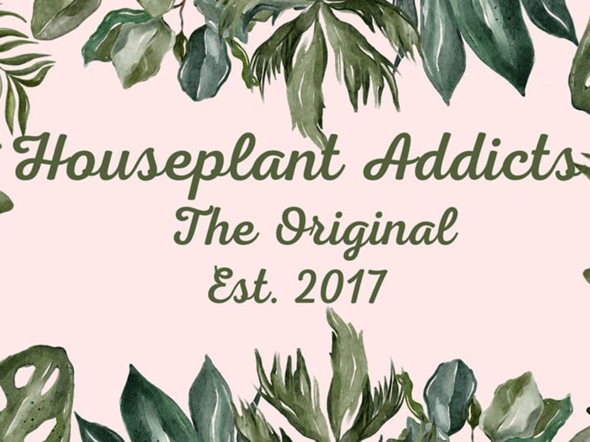 Houseplant Addicts Facebook Group for Plant Lovers