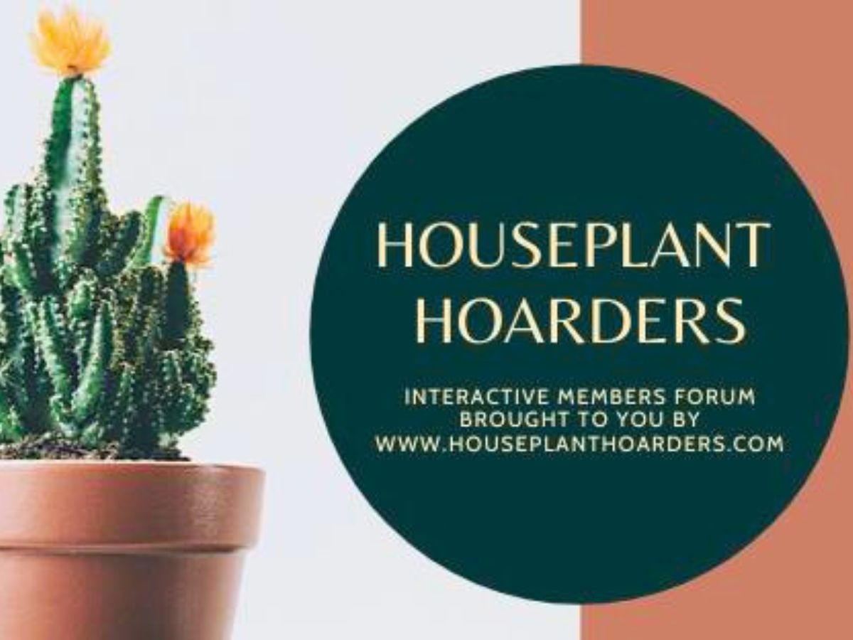 Houseplant Hoarders Facebook Group for Plant Lovers