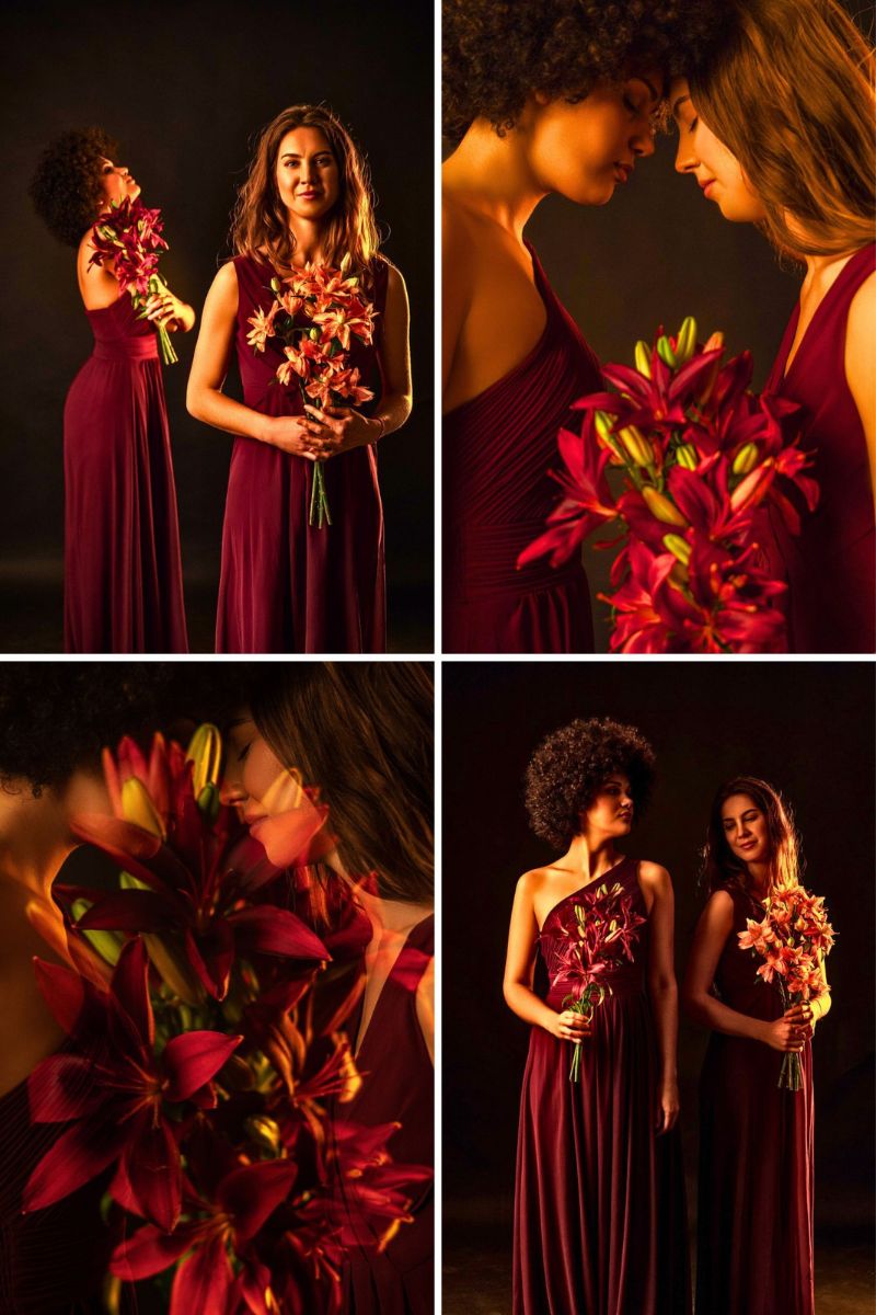 The Beauty of Lily Dark Secret The Beauty of Lily Dark Secret