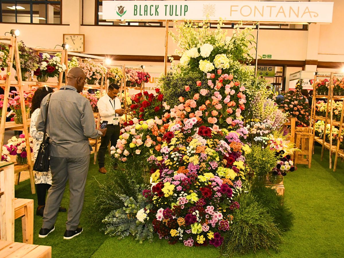 IFTEX 2025 Is Coming Up, and Thursd Still Celebrates Kenyan Flowers