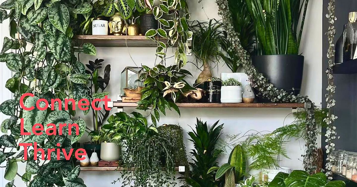 Facebook Groups for plant lovers