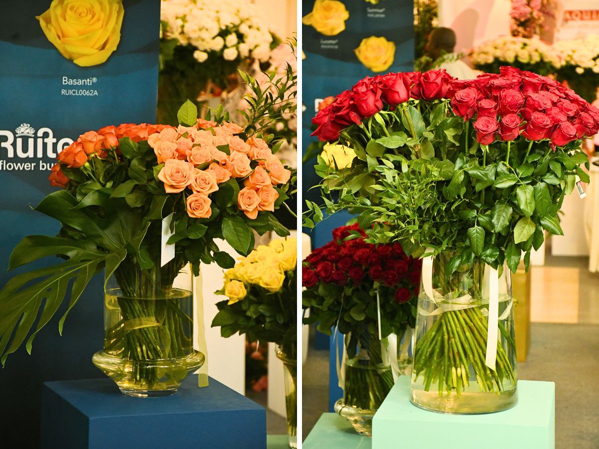 De Ruiter roses IFTEX 2025 Is Coming Up, and Thursd Still Celebrates Kenyan Flowers