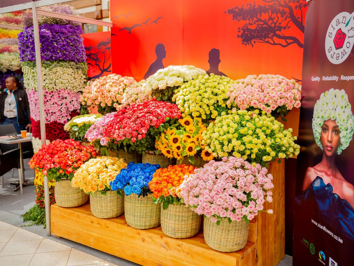 IFTEX - An Event That Sustainably Cultivates Global Flower Connections