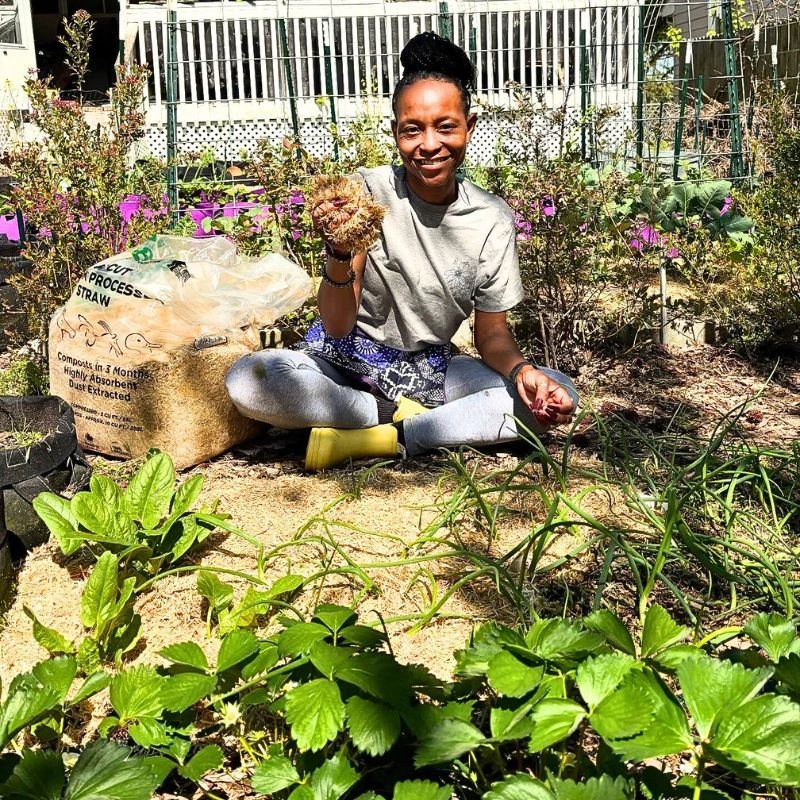 garden story feature image