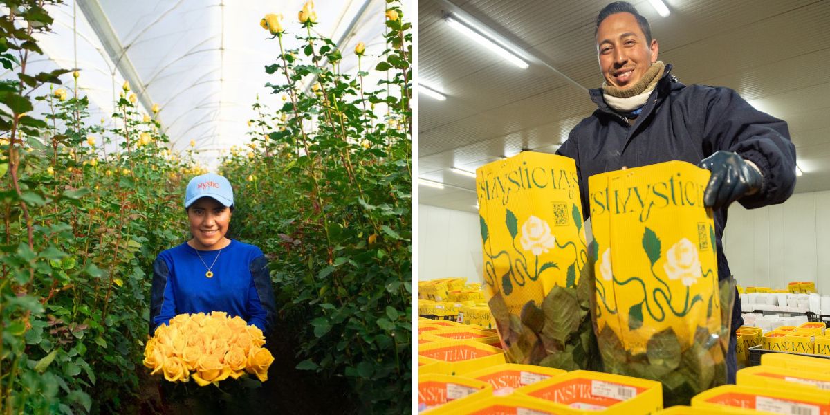 Mystic flowers farm and logistics