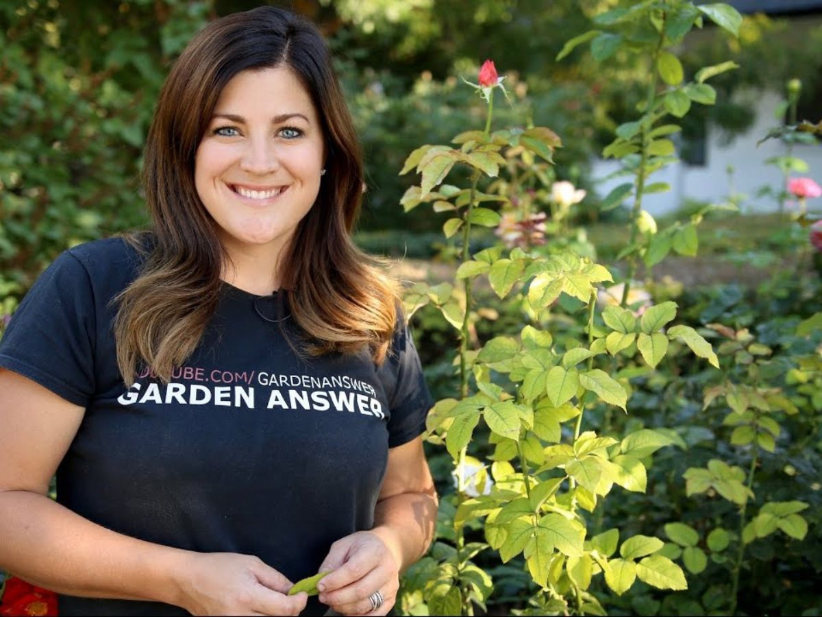 Laura of Garden Answer Laura of Garden Answer
