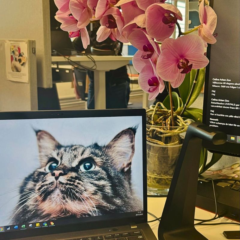 Digital Tools in Floral Design