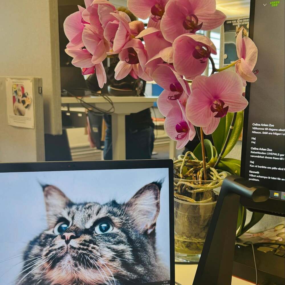 working desk flower working desk flower