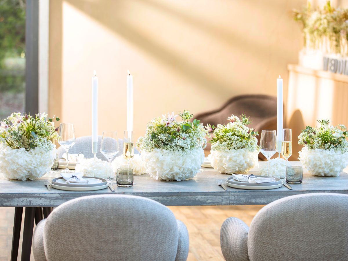 White Million Daisy wedding gypsophila White Million Daisy wedding gypsophila