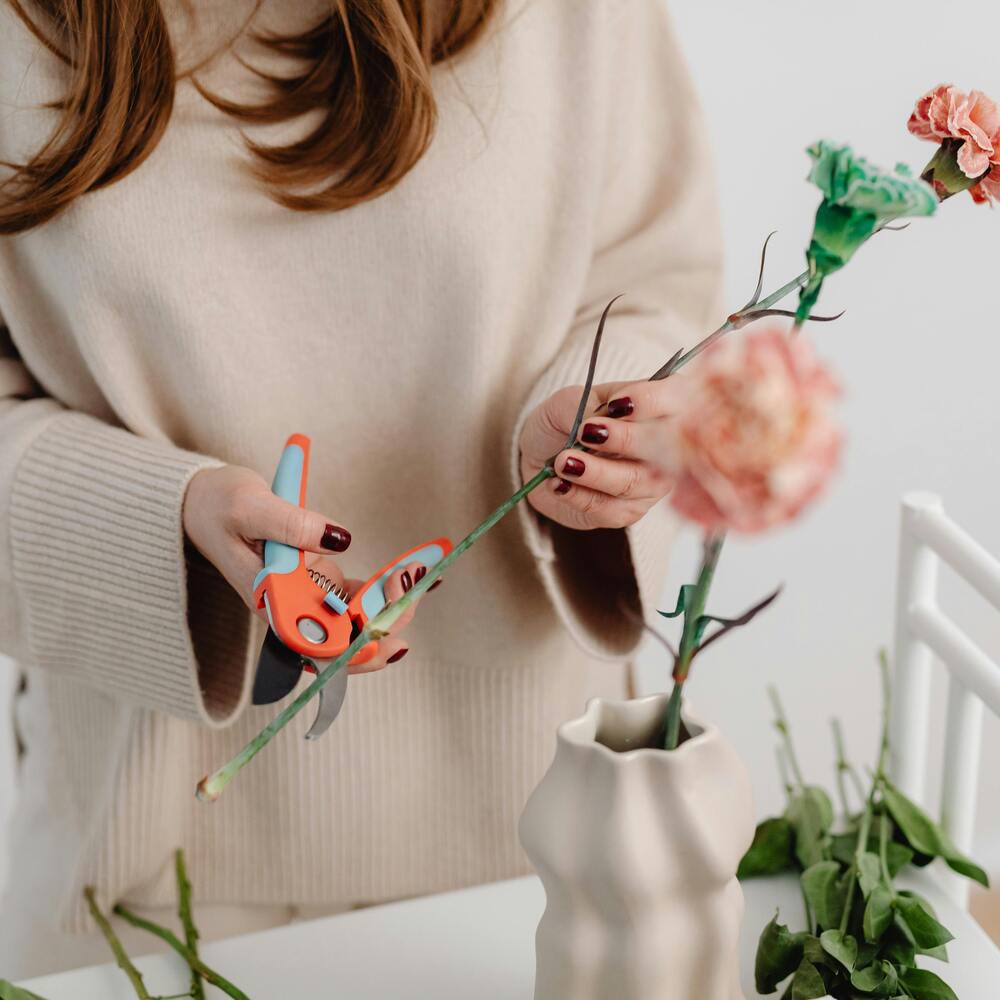 Make Setup So Easy You’ll Actually Do It With Flower